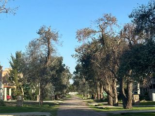 Foto 6 de Venta - Lote Central - Casuarinas Del Pilar - Pilar