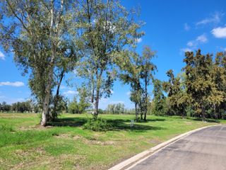 Foto 9 de Terreno en  AZZURRA TORTUGAS, sector 3