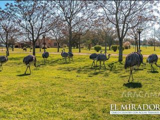 Foto 24 de Lote en venta Barrio El Mirador Club de Campo - Ruta 2
