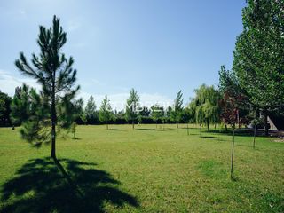 Foto 6 de Complejo de Cabañas de primera categoría con piscina cubierta en Rama Caída