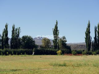 Foto 14 de Complejo de Cabañas de primera categoría con piscina cubierta en Rama Caída