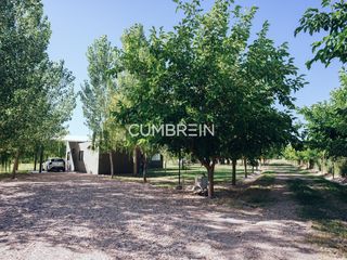 Foto 20 de Complejo de Cabañas de primera categoría con piscina cubierta en Rama Caída