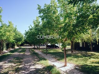 Foto 26 de Complejo de Cabañas de primera categoría con piscina cubierta en Rama Caída
