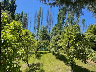 Foto 3 de Hermosa chacra en Golondrinas - Chubut