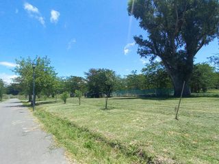 Foto 4 de Terreno en  NorthBell , 141 y 446 City Bell