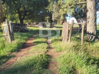 Foto 5 de 5 hectareas a 300m de Ruta 11