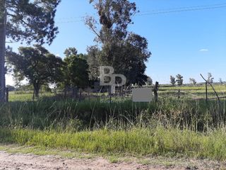 Foto 4 de 5 hectareas a 300m de Ruta 11