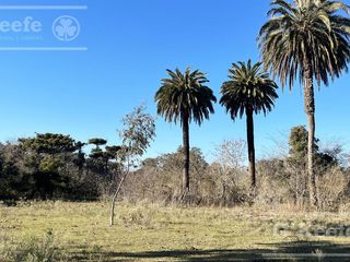Foto 9 de Lote en venta en Aires de Hudson, etapa 1. Con financiación. Hudson
