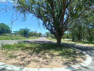 Foto 17 de Terreno en  NorthBell , 141 y 446 City Bell