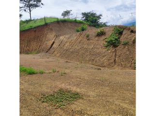 Foto 19 de Venta De Lote En Sopetran
