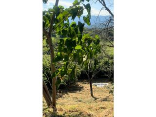 Foto 8 de Venta De Lote En Parcelación Sopetran