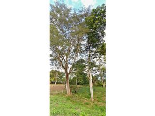 Foto 4 de Venta De Lote En Parcelación Sopetran