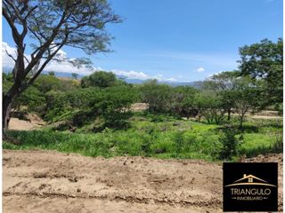 Foto 1 de Venta De Lote En Sopetran
