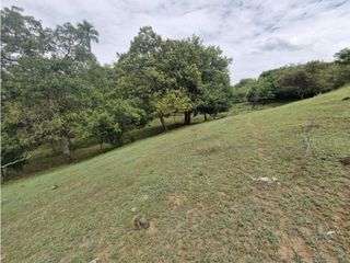 Foto 6 de Venta De Lote Independiente En Sopetran