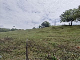 Foto 5 de Venta De Lote Independiente En Sopetran