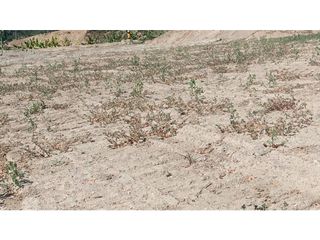 Foto 10 de VENTA DE LOTE EN SOPETRAN
