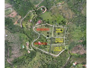 Foto 1 de VENTA DE HERMOSO LOTE EN SOPETRAN