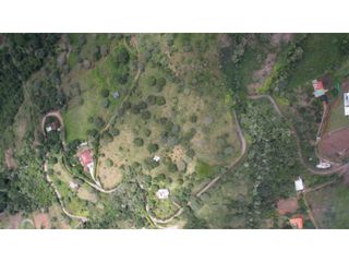 Foto 7 de VENTA DE HERMOSO LOTE EN SOPETRAN