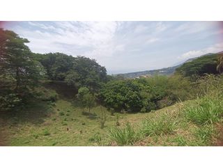 Foto 8 de VENTA DE FINCA EN PARCELACION SAN JERONIMO
