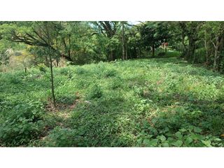 Foto 13 de VENTA DE FINCA EN PARCELACION SAN JERONIMO