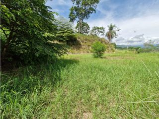 Foto 3 de VENTA DE HERMOSO LOTE EN SOPETRAN