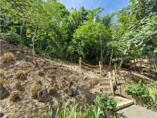 Foto 9 de VENTA DE HERMOSO LOTE EN SOPETRAN