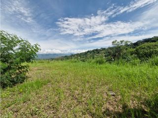 Foto 2 de VENTA DE HERMOSO LOTE EN SOPETRAN