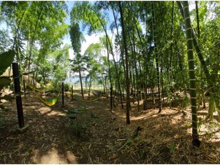Foto 8 de VENTA DE HERMOSO LOTE EN SOPETRAN