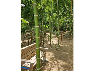 Foto 5 de VENTA DE HERMOSO LOTE EN SOPETRAN