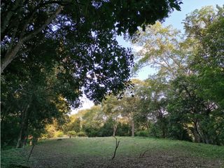 Foto 9 de VENTA DE LOTE EN PARCELACION SOPETRAN