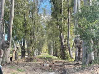 Foto 17 de Venta Lote Terreno Pilar Pilar del Este Santa Sofia