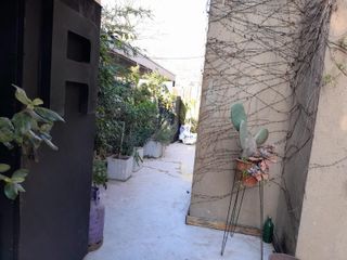 Foto 42 de CASA ROBLE JOVEN TORTUGAS