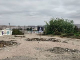 Foto 3 de ALQUILO PROPIEDAD COMERCIAL 1800 M2 CALANA