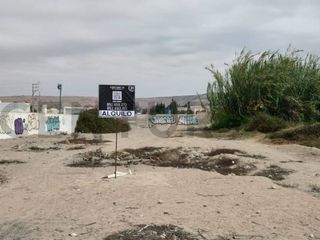 Foto 4 de ALQUILO PROPIEDAD COMERCIAL 1800 M2 CALANA
