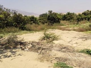 Foto 1 de Terreno en  Terreno en Venta en LM-124, Asia, Perú