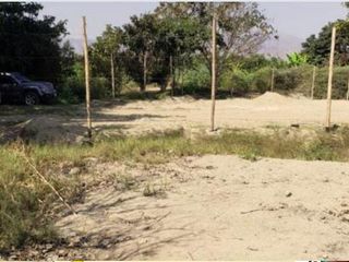 Foto 3 de Terreno en  Terreno en Venta en LM-124, Asia, Perú