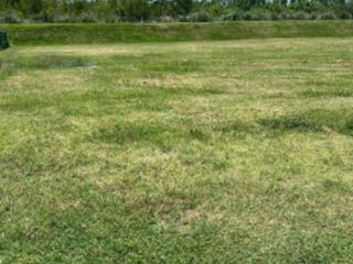 Foto 3 de Venta Terreno en El Naudir Aguas Privadas