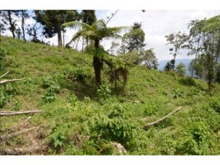 Foto 2 de VENDO HERMOSO LOTE EN PARCELACION EN LA ESTRELLA REA 6.074M2