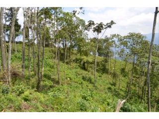 Foto 9 de VENDO HERMOSO LOTE EN PARCELACION EN LA ESTRELLA REA 6.074M2