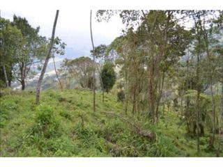 Foto 3 de VENDO HERMOSO LOTE EN PARCELACION EN LA ESTRELLA REA 6.074M2