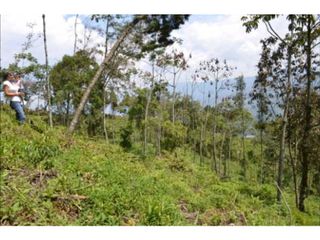 Foto 11 de VENDO HERMOSO LOTE EN PARCELACION EN LA ESTRELLA REA 6.074M2