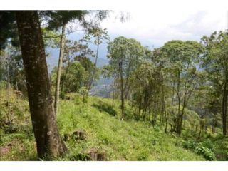 Foto 6 de VENDO HERMOSO LOTE EN PARCELACION EN LA ESTRELLA REA 6.074M2