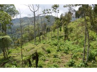 Foto 10 de VENDO HERMOSO LOTE EN PARCELACION EN LA ESTRELLA REA 6.074M2