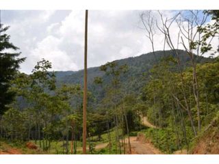 Foto 13 de VENDO HERMOSO LOTE EN PARCELACION EN LA ESTRELLA REA 6.074M2