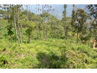 Foto 12 de VENDO HERMOSO LOTE EN PARCELACION EN LA ESTRELLA REA 6.074M2
