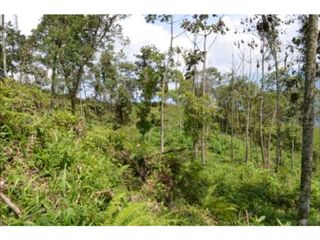 Foto 14 de VENDO HERMOSO LOTE EN PARCELACION EN LA ESTRELLA REA 6.074M2