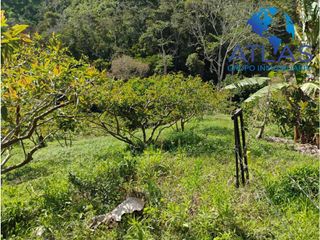 Foto 8 de VENTA DE CASA CAMPESTRE EN LEBRIJA SANTANDER COD:749