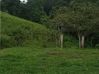 Foto 7 de En venta Finca de Oportunidad de 72 Hectareas en Viche, Rio Verde, Esmeraldas