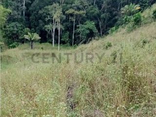 Foto 11 de En venta Finca de Oportunidad de 72 Hectareas en Viche, Rio Verde, Esmeraldas