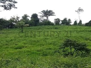 Foto 1 de En venta Finca de Oportunidad de 72 Hectareas en Viche, Rio Verde, Esmeraldas